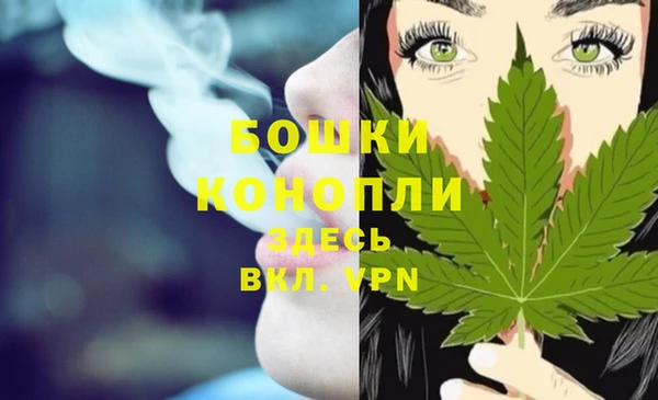 стаф Волосово