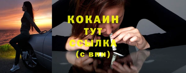 стаф Волосово