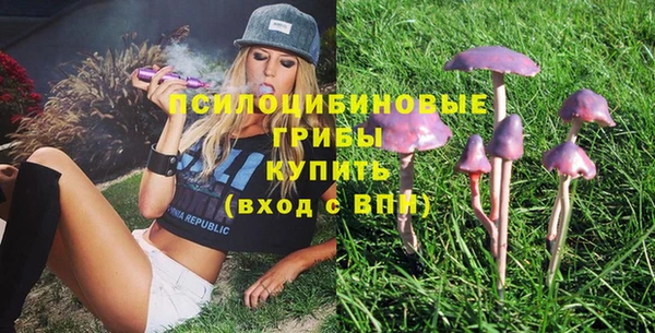 стаф Волосово