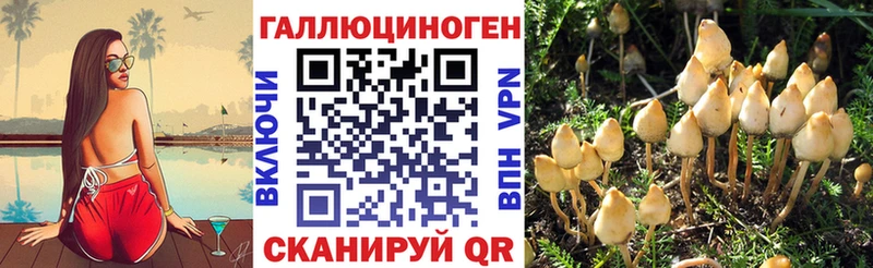 Галлюциногенные грибы прущие грибы  купить   Коркино 