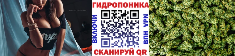 блэк спрут как зайти  Коркино  МАРИХУАНА план  продажа наркотиков 